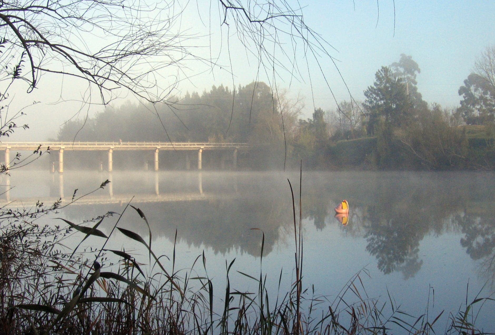 Windsor Bridge crossing the Hawkesbury River in the early morning, representing HelloTech coverage for Colo